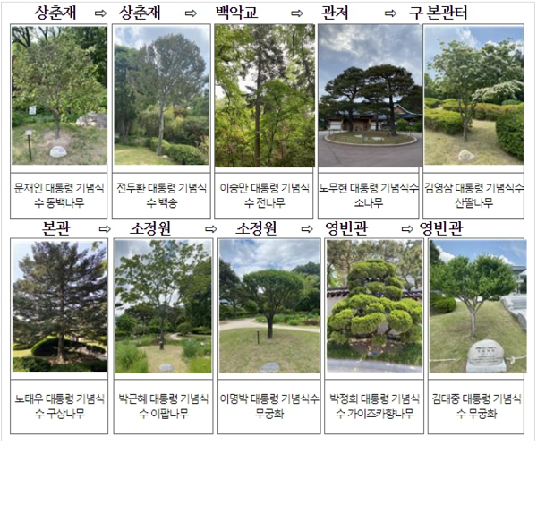 청와대 관람객 사로잡은 ‘대통령의 나무들’