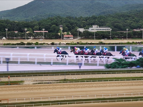 제17회 경기도지사배 경주대회 15일 한국마사회 렛츠런파크서 개최