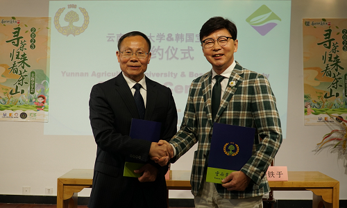 보성군, 한국 보성녹차와 중국 윈난성 보이차의 국제 교두보 마련