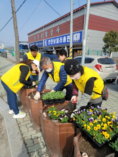 제천 신백동 직능단체, 봄맞이 꽃길조성 
