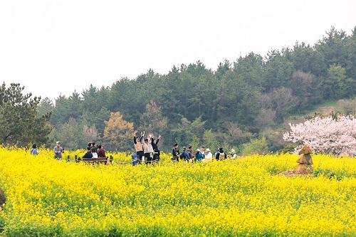 완도군 청산도 슬로걷기 축제 팡파르
