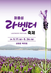 퍼플섬! 2천만 송이 라벤더 꽃 축제 개최