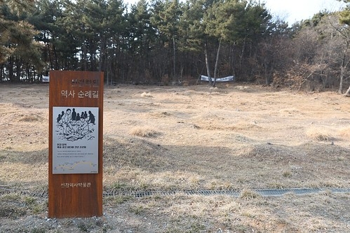 선감학원 유해 발굴하는 경기도, 시굴 유해도 도가 수습키로