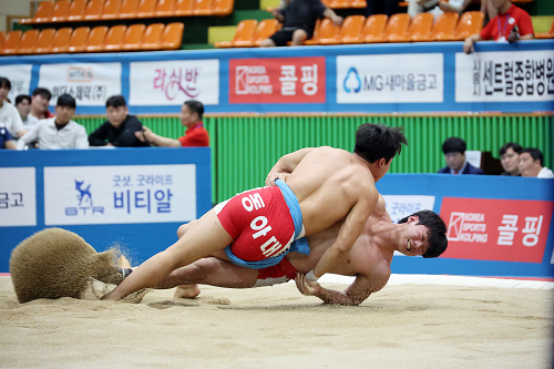 장흥군, 제61회 대통령기 전국장사씨름대회 성황
