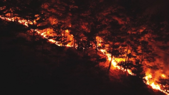 경북 초대형 산불, 사망자 25명...복구작업 총력