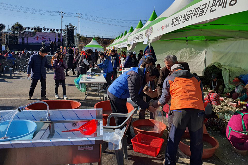 3. 고흥 첫 굴댕이 축제 성공적 개최 (2).png