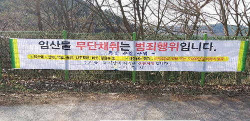 나주시, 임산물 불법 채취 금지 현수막1.png