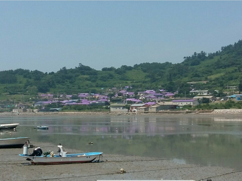 반월박지도3.png