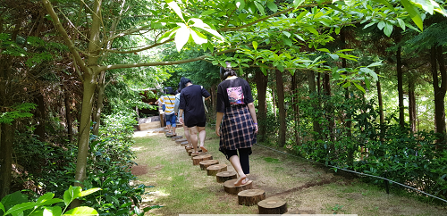 1.통영 「나폴리 농원」한국관광공사 웰니스 관광지 되다-6코스 균형감각 음이온길.png