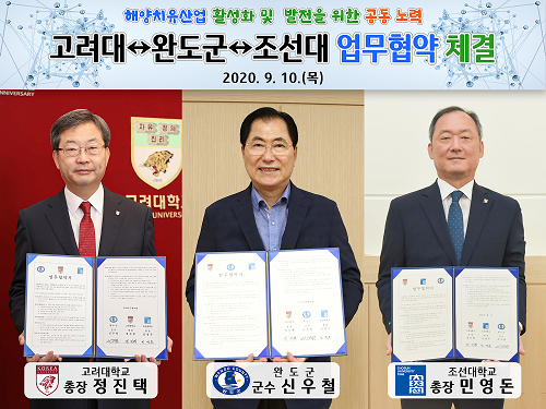 완도군, 고려대-조선대와 해양치유산업 활성화 온라인 업무협약 체결 01 - 사전 기념촬영 합성.png