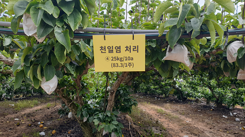 보도2.png