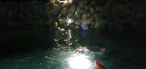 익수자 구조 사진.png