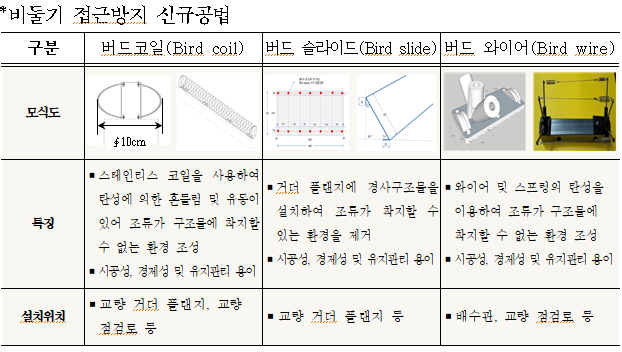 비둘기.PNG