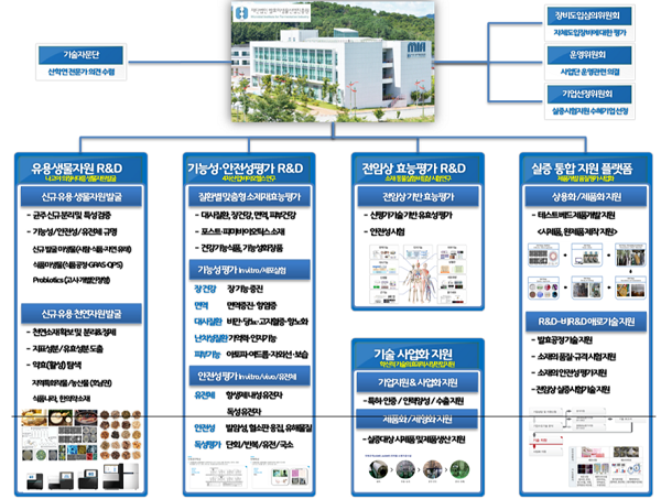 화면 캡처 2021-04-30 213549.png