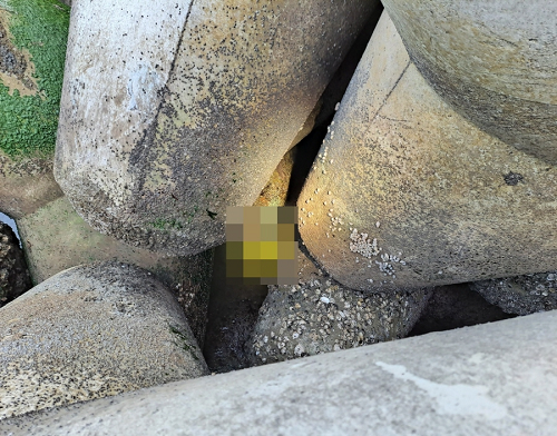 [크기변환]20502-여수해경, 여수로 낚시하러 간다던 60대 숨진채 발견(2).png