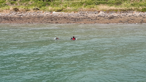 210508-여수해경, 고흥 해상 70대 해녀 수중 작업중 나오지 않아 수색(2).png