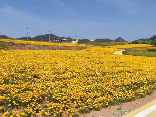보도 2.png