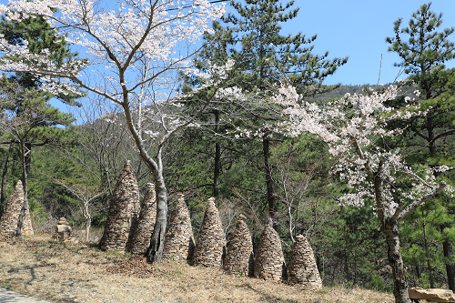 천관산 돌탑 2.png