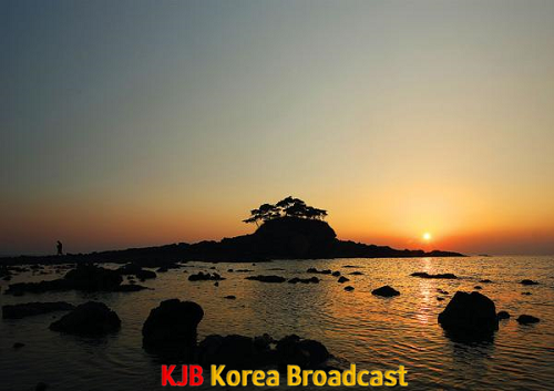 부안 도청리 솔섬, 전북도 기념물 제147호 지정1.png