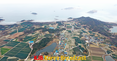 (비금도).png