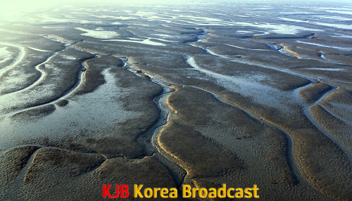 압해 매화도갯벌2.png