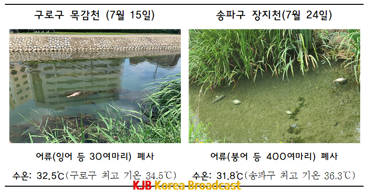 화면 캡처 2021-08-05 191542.png