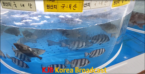 관련+사진(2).png
