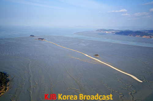 [크기변환]신안갯벌 특이퇴적체.png