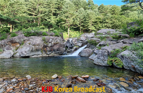 image03.png