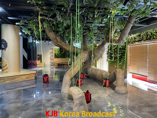 미래교육재단_곡성군미래교육재단, 전국 최초 꿈놀자트리클라이밍센터 첫 선.png