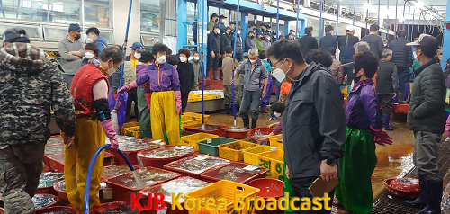 (육상)수협위판장불법어획물확인.png
