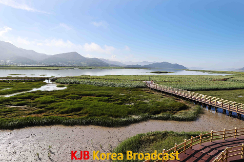 뉴 강진만 생태공원 (3).png