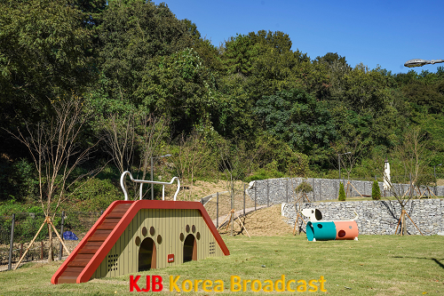 1.목포시, 부주산에 반려동물 놀이터 개장 (1).png