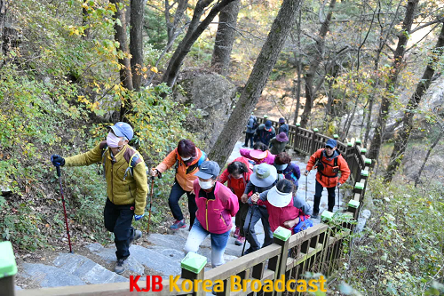 2020팔용산걷기대회(사진5).png