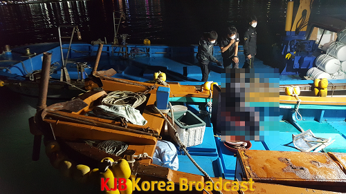 총돌선박1.png