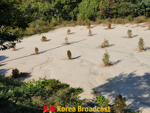 사진1.png