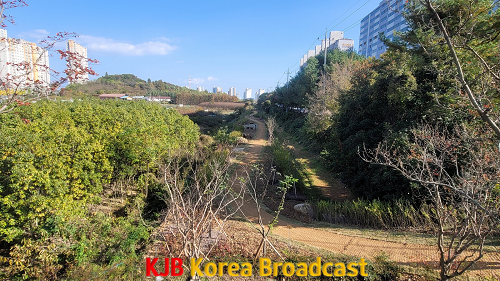 4. 연향동 폐철도부지 생태복원 사업(우).png