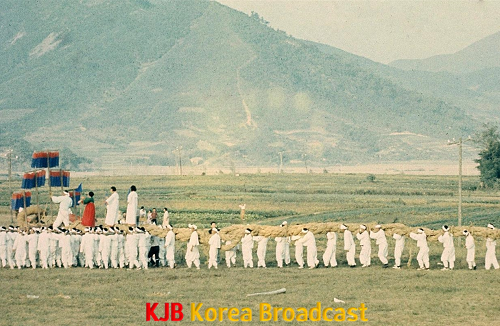 고싸움 자료사진 (2).png