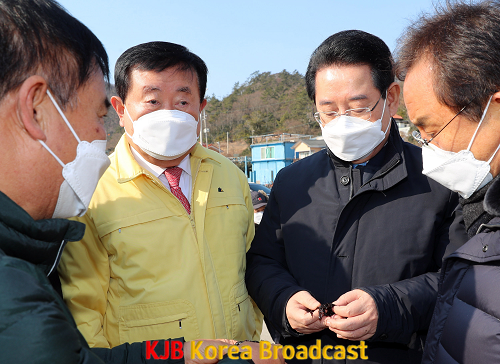 진도 접도 물김위판장 방문2.png
