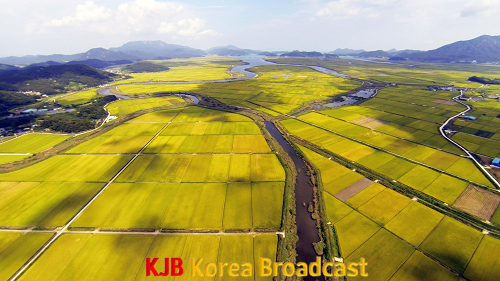 고흥해창만간척지 임대농지 매각 적극 추진 (2).png