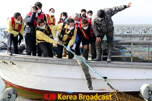 해남 김양식 황백화 피해 현장 방문2.png