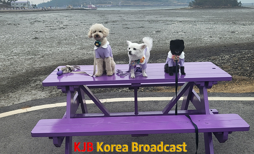 보라색 옷 입고 퍼플섬온 강아지들.png