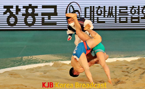 정남진장흥민속씨름대회 (1).png