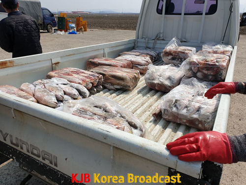 무안군, 내수면 외래어종 수매사업 추진1.png