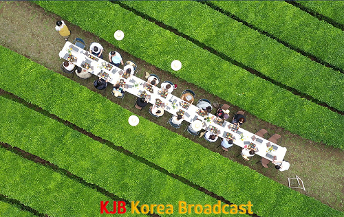 1.‘보성세계차EXPO’ 4월 29일부터 3일간 개최-차밭 다이닝체험.png