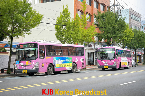 순천 시내버스.png