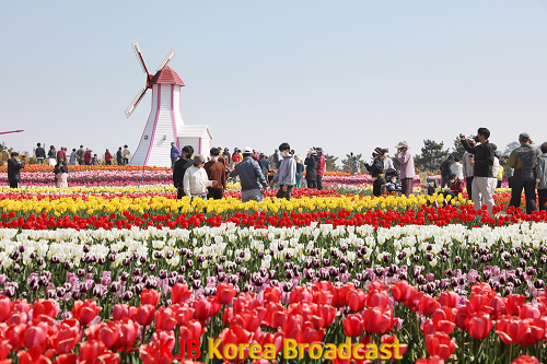 1. 신안튤립공원 전경.png