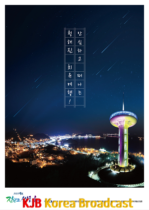 2022 완도 장보고수산물축제 포스터 2(완도타워 야경).png