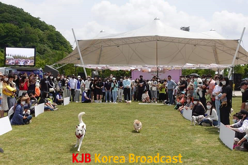 1.목포 최초 반려견 페스티벌 성황리 개최 (3).png