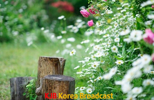 죽화경 (4).png